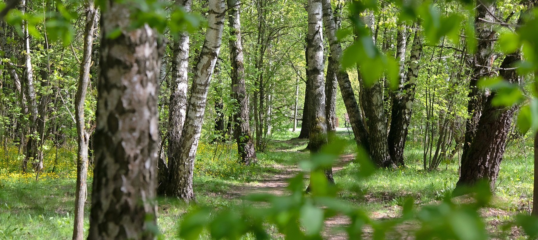 ЖК Страна Озерная в Москве - Купить квартиру от застройщика, цены,  планировки, генплан, ход строительства | Страна Девелопмент